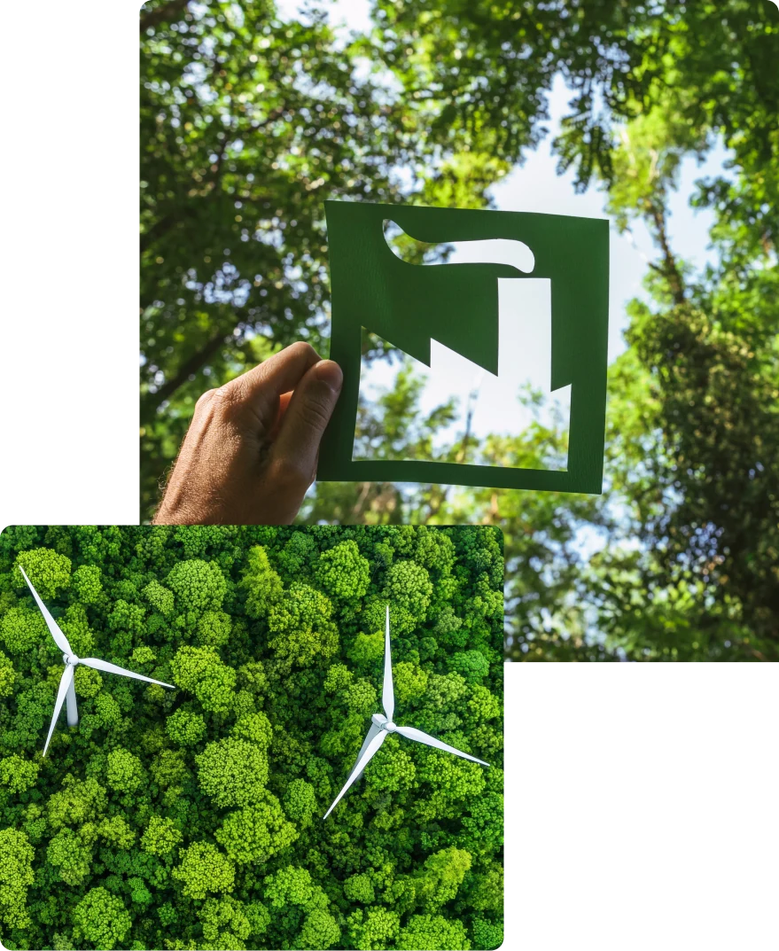 Foglia di carta, foresta e turbine eoliche