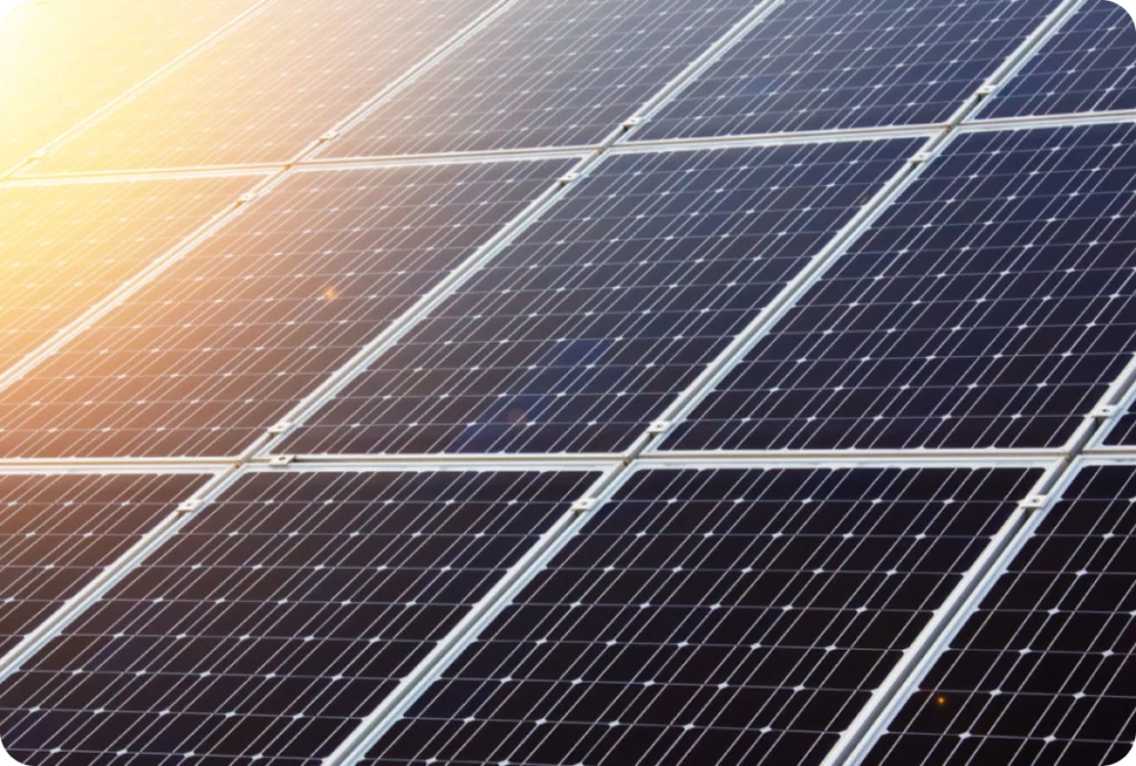 Energia Verde Italia · La loro missione